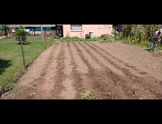 4 BEDROOM HOUSE FOR SALE IN HATTINGSPRUIT